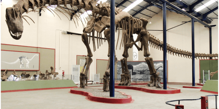 Vondst ‘grootste dinosaurus ooit’ mogelijk waar