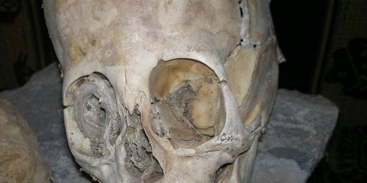 Volgens drie antropologen gaat het om een niet-menselijke schedel. Beeld RPPNoticias Volgens drie antropologen gaat het om een niet-menselijke schedel. Beeld RPPNoti