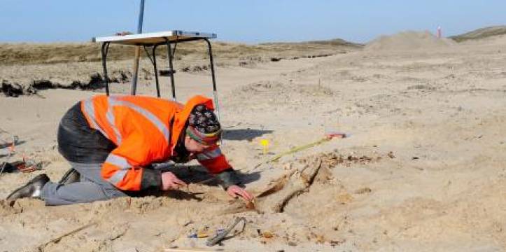 De opgraving van de Engelse soldaat. Beeld: Landschap Noord-Holland Veel amateurarcheologen zijn gesnapt tijdens het zoeken in de duinen.