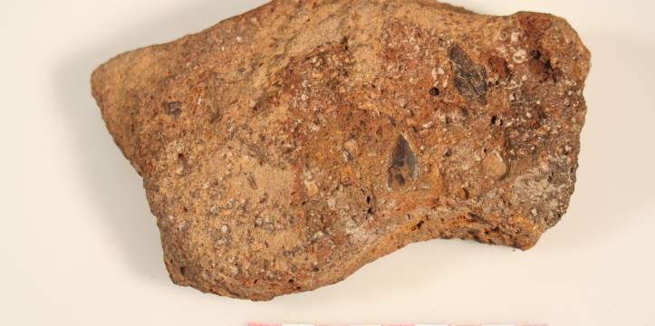 Het brok ijzeroer dat op de nieuwe vindplaats werd gevonden. Foto Nieuw Land In Dronten is een nieuwe archeologische vindplaats ontdekt.