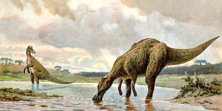 Grote schat aan dinosaurusfossielen aangetroffen in Idaho