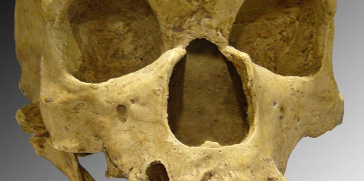 Neanderthaler- Bron: Luna04 Neanderthaler- Bron: Luna04