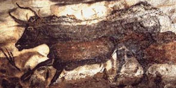 De stier van Lascaux, een bekende rotstekening in Frankrijk. Eeuwenoude rotskunst wordt bedreigd door verval.