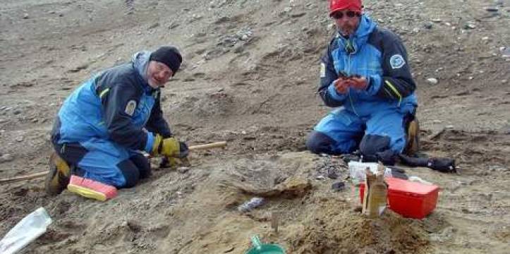 In Antarctica zijn fossielen gevonden van een primitieve walvis. Het is de eerste walvis die volledig aangepast is aan de zee ooit gevonden.
