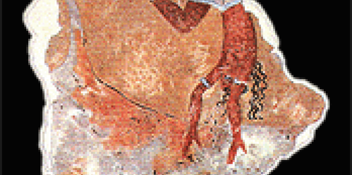 Fragment van een Minoïsch fresco gevonden in Avaris. In het Egyptische Avaris zijn zestien afgesneden handen gevonden.