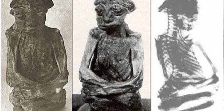 Scan van mummie San Pedro Mountain Rage 1936 Mysterie gemummificeerde baby opgelost