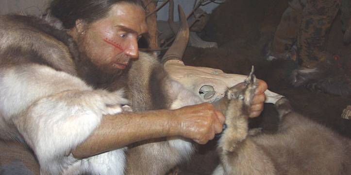 Neanderthaler. Foto via Wikimedia Commons. Neanderthaler.