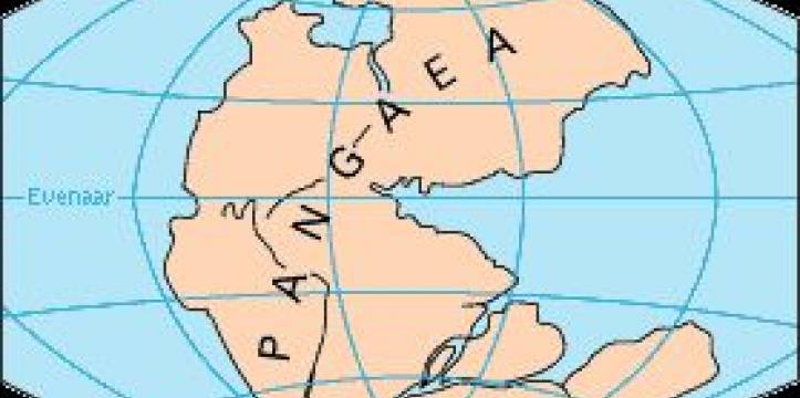 Pangea. Beeld via Wikipedia Pangea. Beeld via Wikipedia