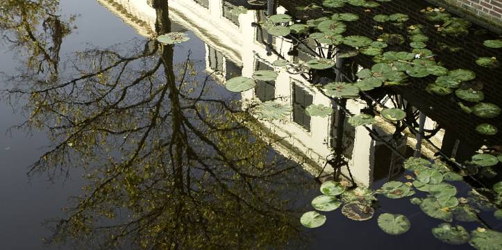 De stadswandeling neemt mensen mee langs het Rapenburg en zijn gebouwen. Vanaf 20 januari is Leiden een culturele stadswandeling rijker.