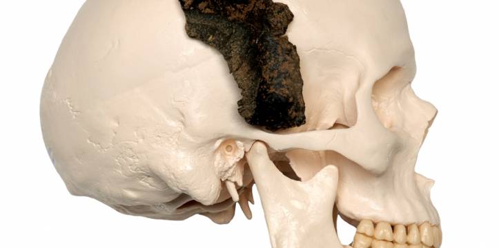 Eén van de schedelfragmenten van het Maasvlaktestrand. Wandelaar treft 9600 jaar oude schedelresten aan op Maasvlakte.