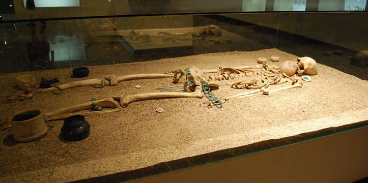 Skelet Regionaal Museum Tuxtla. Auteur Alejandro Linares Garcia
