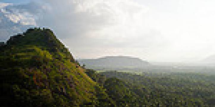 De jungle van Sri Lanka waar de grot zich bevindt. De jungle van Sri Lanka waar de grot zich bevindt.