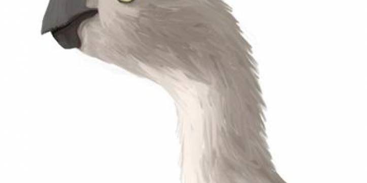 Illustratie van de dinosaurus. Door Dinoguy2. Fossiel broedende dinosaurus gevonden