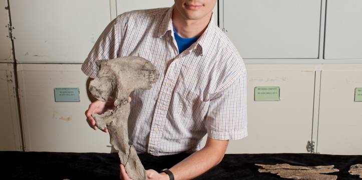 Alex Hastings met de bekken van de prehistorische krokodil. Beeld: Florida Museum of Natural History, by Kristen Grace.