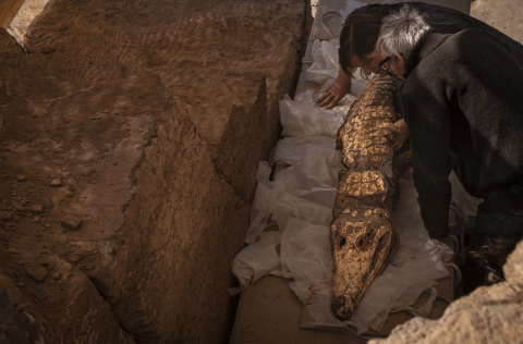 Archeologen Bea De Cupere en Wim van Neer onderzoeken een krokodillenmummie
