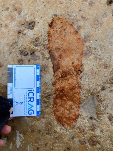 Een van de gevonden voetafdrukken