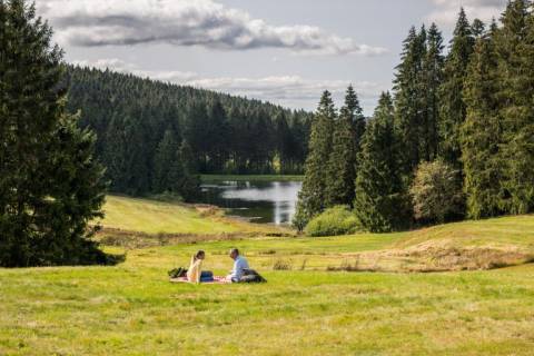 Natuur in de Harz