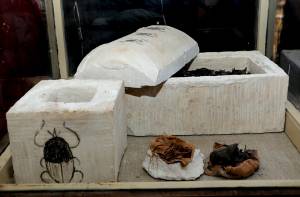 Scarabee mummies opgegraven