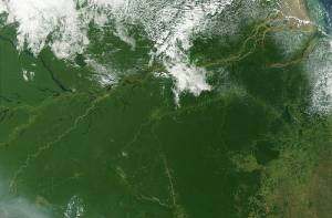 Het regenwoudgebied van de Amazone.