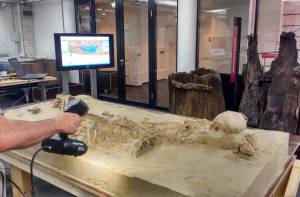 zevende eeuws skelet gevonden in Leiden
