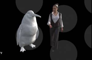 3D model van de nieuw ontdekt pinguïnsoort Crossvallia waiparensis