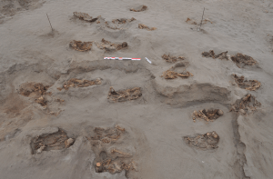 Skeletten van kinderen en lama’s begraven in stuifzand op de HLL-site. 