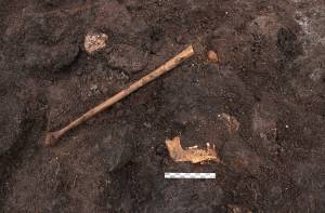 In tegenstelling tot de meeste veenlijken, zijn hier alleen botten bewaard gebleven.