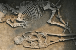 Avaren hadden een grote waardering voor hun paarden en lieten zich vaak samen met hun dieren begraven