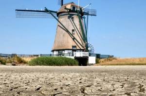 Wanneer het Nederlandse grondwaterpeil daalt, verwachten archeologen dat ontelbare vondsten van organisch materiaal worden aangetast en zullen vergaan