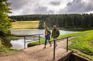 Harz