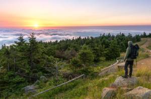 Ontdek de Harz