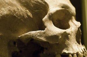 In Roemenië zijn twee skeletten met ineengeslagen handen gevonden.