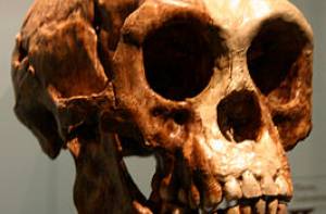 Homo Floresiensis was geen nieuwe menssoort, maar had Downsyndroom 