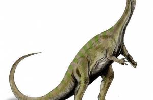 In Zuid-Afrika zijn de tot nu toe oudste dinosauriërnesten gevonden.