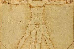 De vetruviusman van Leonardo da Vinci