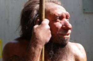 Reconstructie van de Homo neanderthalensis. Beeld door Erich Ferdinand