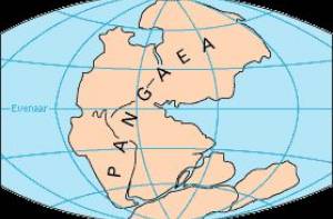 Pangea. Beeld via Wikipedia