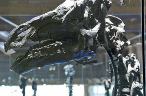 Experts geven aan dat dinosauriërs niet hadden hoeven uitsterven