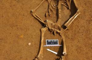 Het aangetroffen skelet bij Waterloo. Bron: AFP / SPW-DGO4