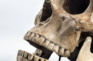 oudste resten moderne mens
