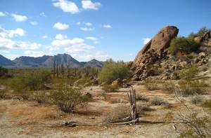 De Sonorawoestijn, ongeveer dertig mijl ten westen van Maricopa, Arizona.