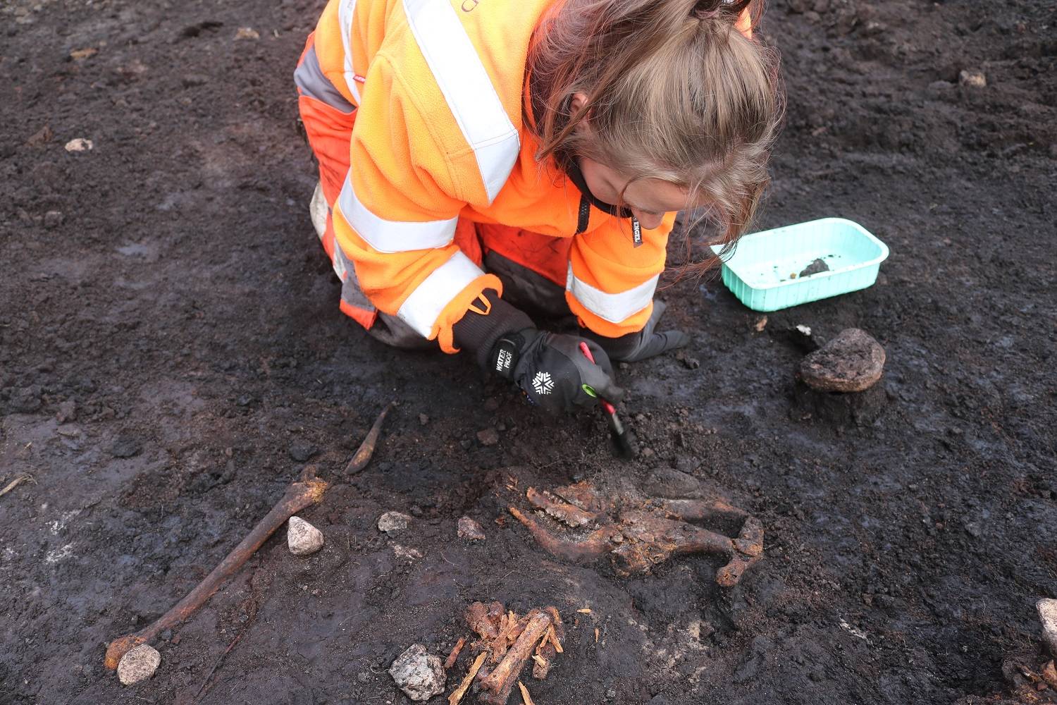 Archeologe Lea Mohr Hansen reinigt de dierenbotten die samen met het menselijk skelet zijn gevonden.