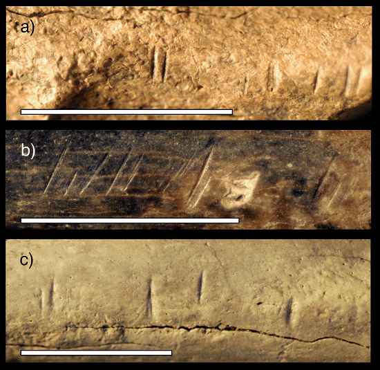 Vergelijking met snijsporen op botten van dieren uit dezelfde periode als de vondst. 