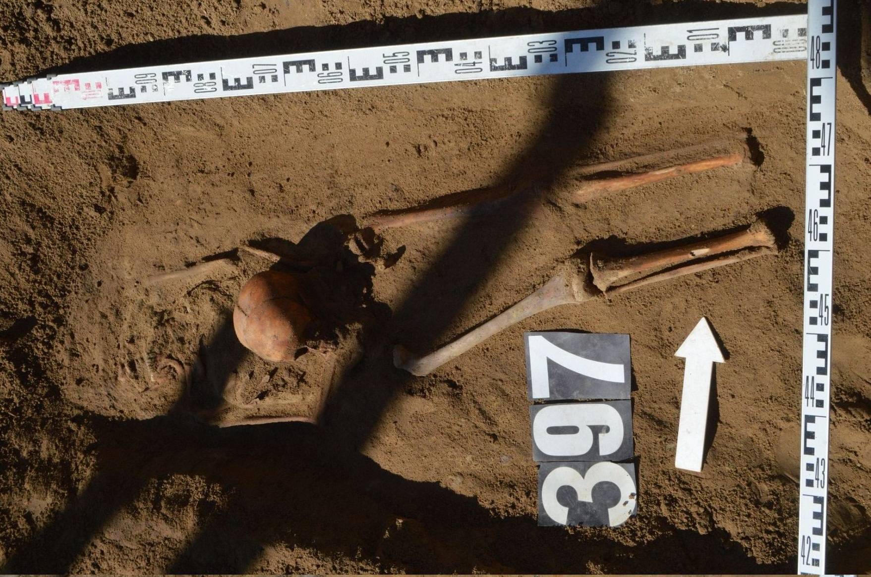 Opgegraven resten van een schedel tussen twee benen geplaatst