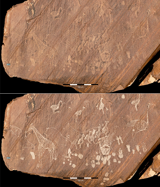 Naast sporen zijn er ook andere vormen afgebeeld in de rotstekeningen