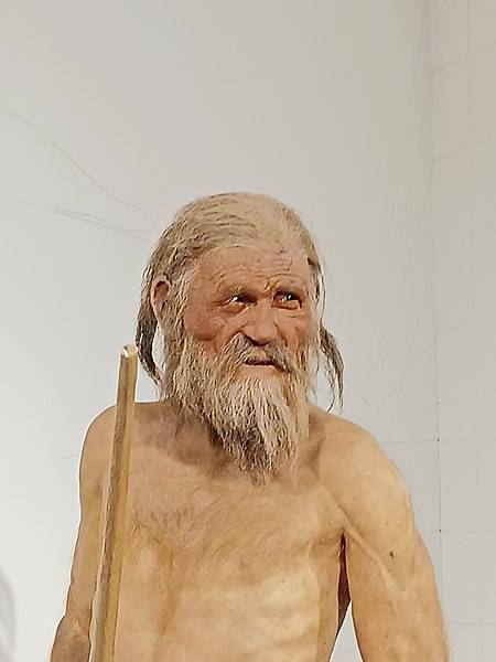 Reconstructie van hoe Ötzi eruit zou hebben gezien. 