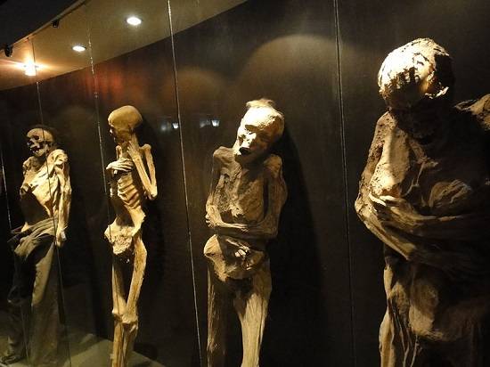 De mummies van Guanajuato die tentoon zijn gesteld in een eigen museum. Hier zijn ook de verschillende gezichtstrekken goed te zien. 