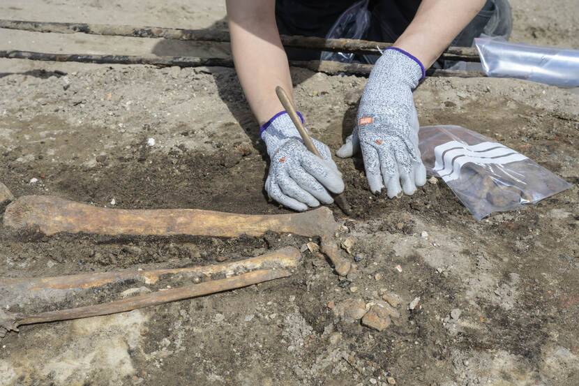 De botresten werden op slechts 20 tot 30 centimeter onder de grond gevonden