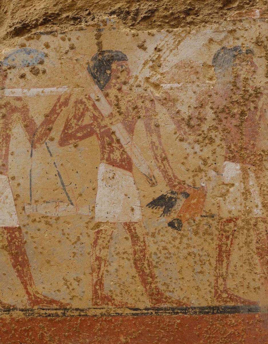 De bijzondere muurschilderingen in de tombe laten mensen en dieren zien in verschillende taferelen. 