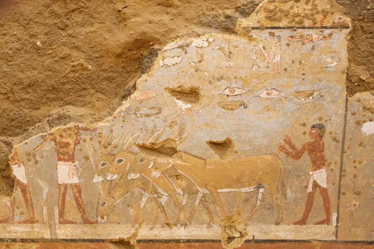 De muurschilderingen in de mastaba laten taferelen uit het leven in het oude Egypte zien, zoals hier de verkoop van dieren en andere handelswaar op een markt. 